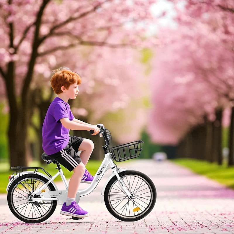 20 Inch Kids Bike for Boys & Girls, Single Speed Bicycle with Coaster Brake, V-Brake & Rear Rack