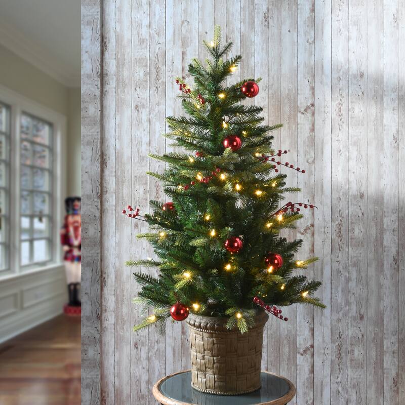 National Tree Company 4 ft. Scotch Creek Fir Entrance Tree with LED Lights - 4 Foot