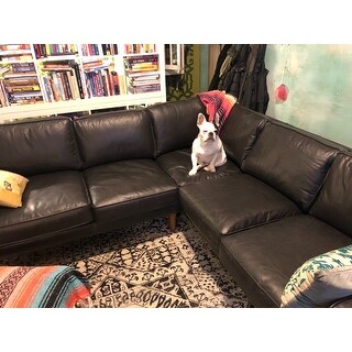 Safavieh Evoke Deb Vintage Boho Medallion Distressed Rug