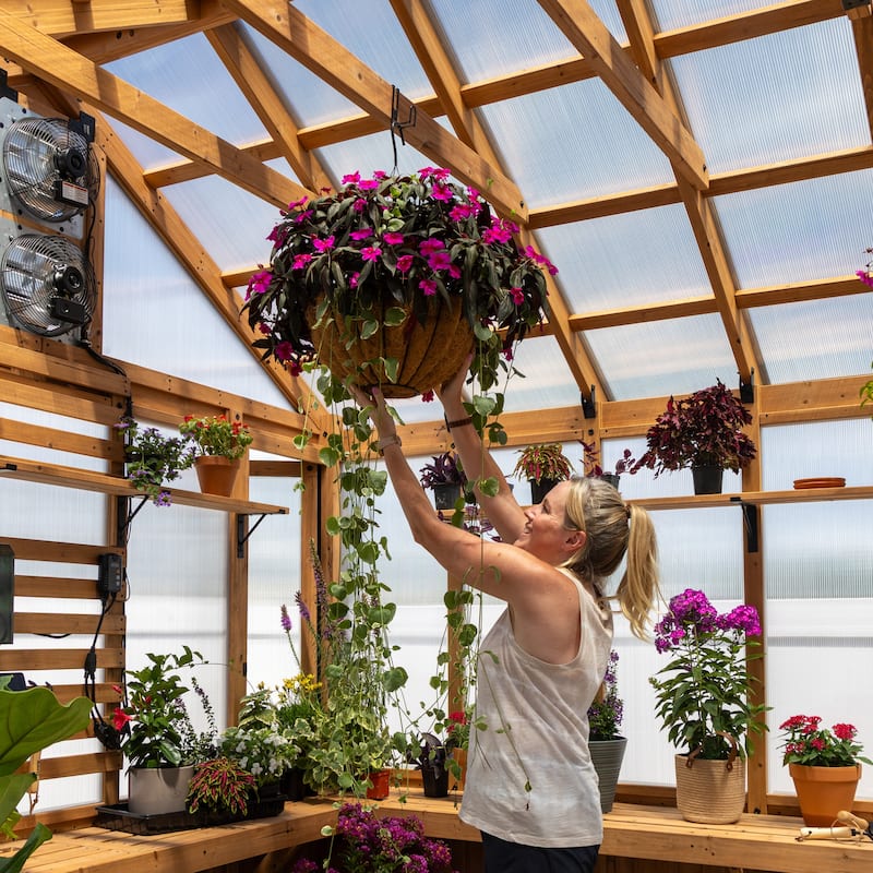 Backyard Discovery Savannah Chalet-Style 14.5' x 12' Cedar Greenhouse