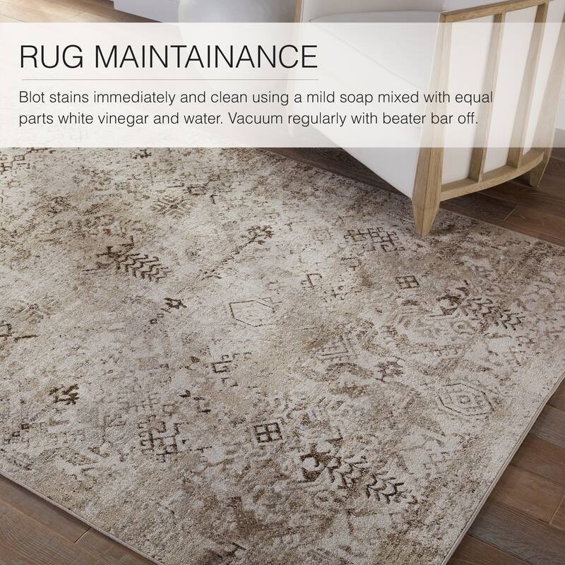 Kati Machine Washable Tribal Area Rug