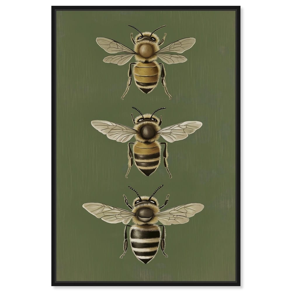 Anatomy of the Bee Canvas by Art Remedy