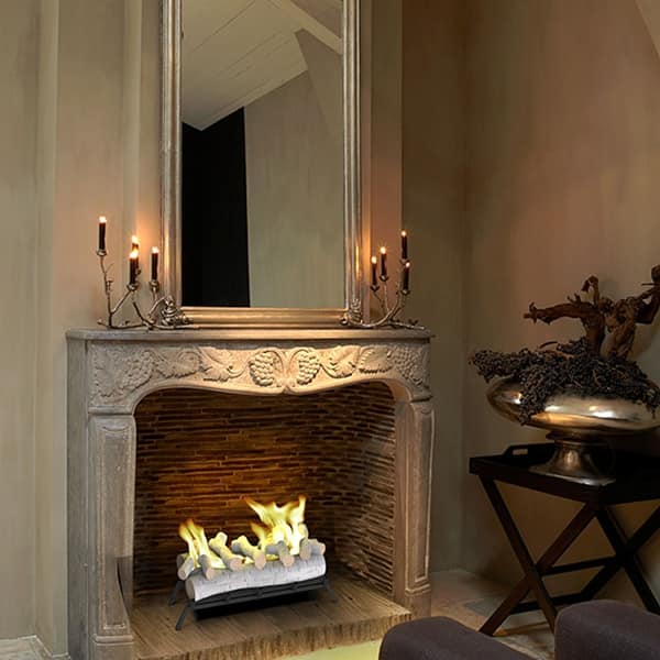 Shop Regal Flame 24 Inch Convert To Ethanol Fireplace Log Set With