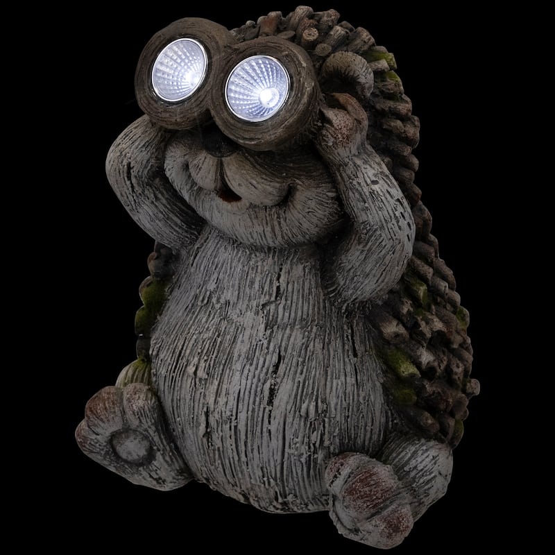 Hedgehog with Binoculars Outdoor Solar Lighted Garden Statue - 11.5"