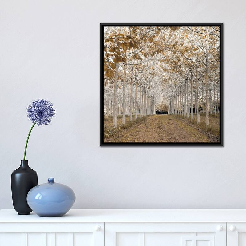 iCanvas "White Gold" by Assaf Frank Framed Canvas Print