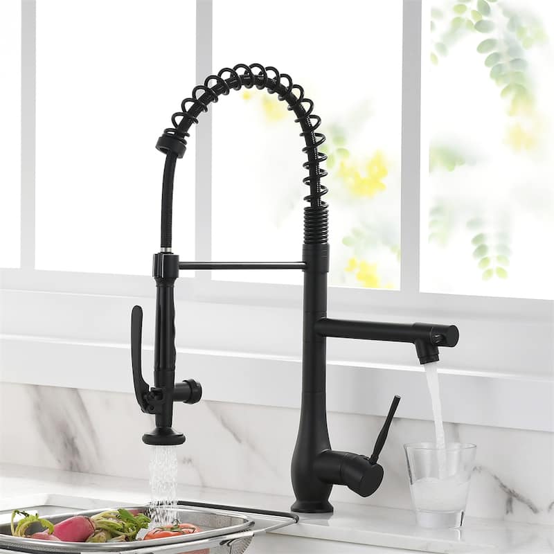 Single Handle Kitchen Faucet with Pull Down Sprayer - Black