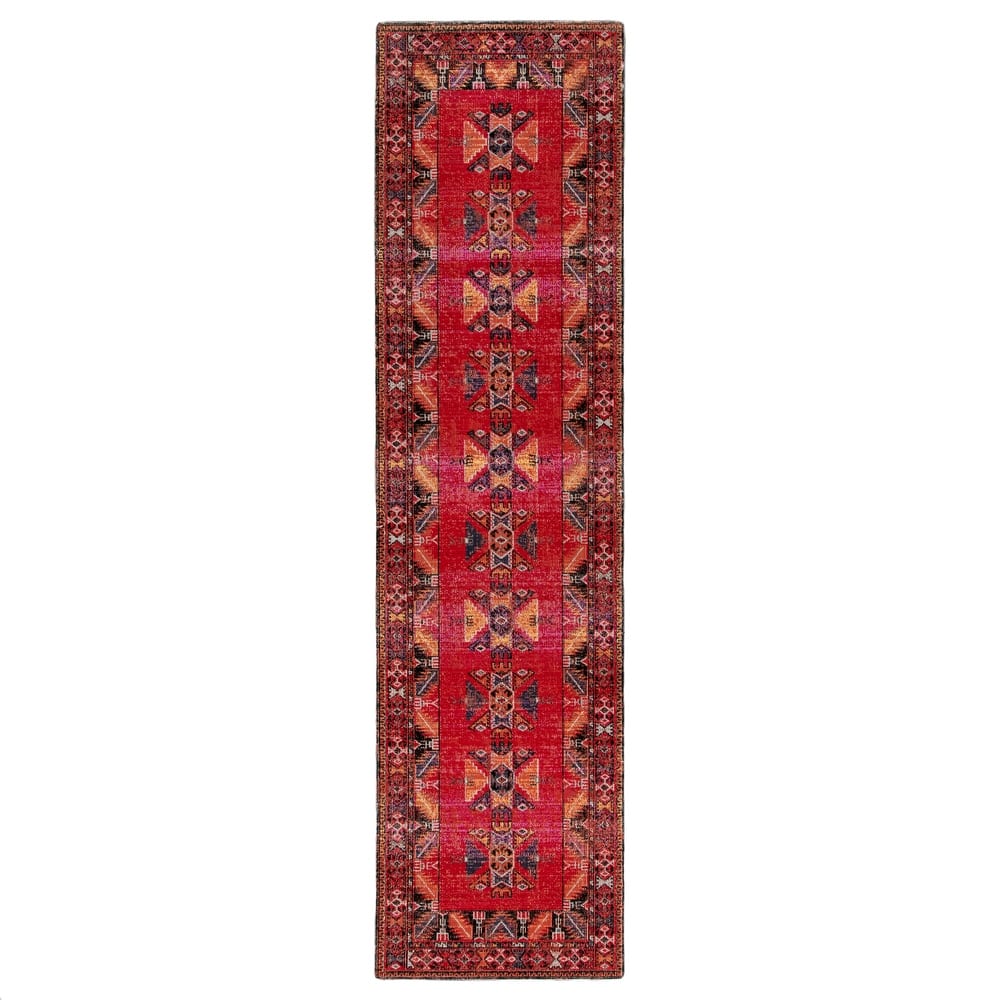 Paloma Indoor and Outdoor Tribal Area Rug