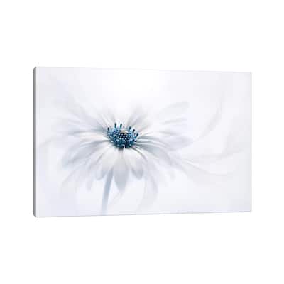 iCanvas "Serenity" by Jacky Parker Canvas Print