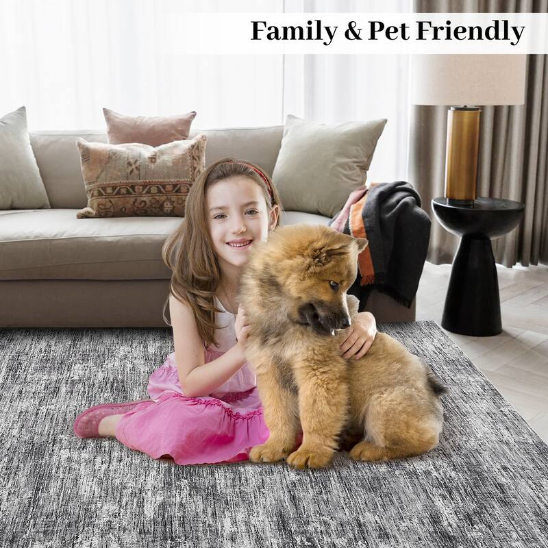 Rugs for Living Room Modern Abstract Area Rug Non-Slip Low Pile Accent Rug Soft Foldable Solid Rug