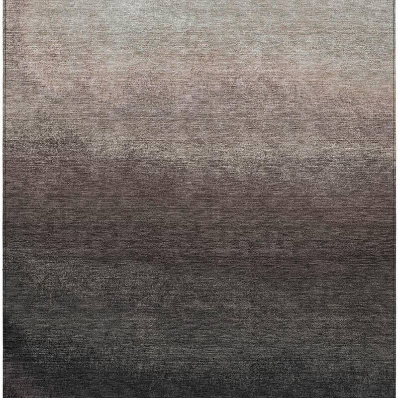 HomeRoots Ombre Transitional Rectangle Outdoor Rug