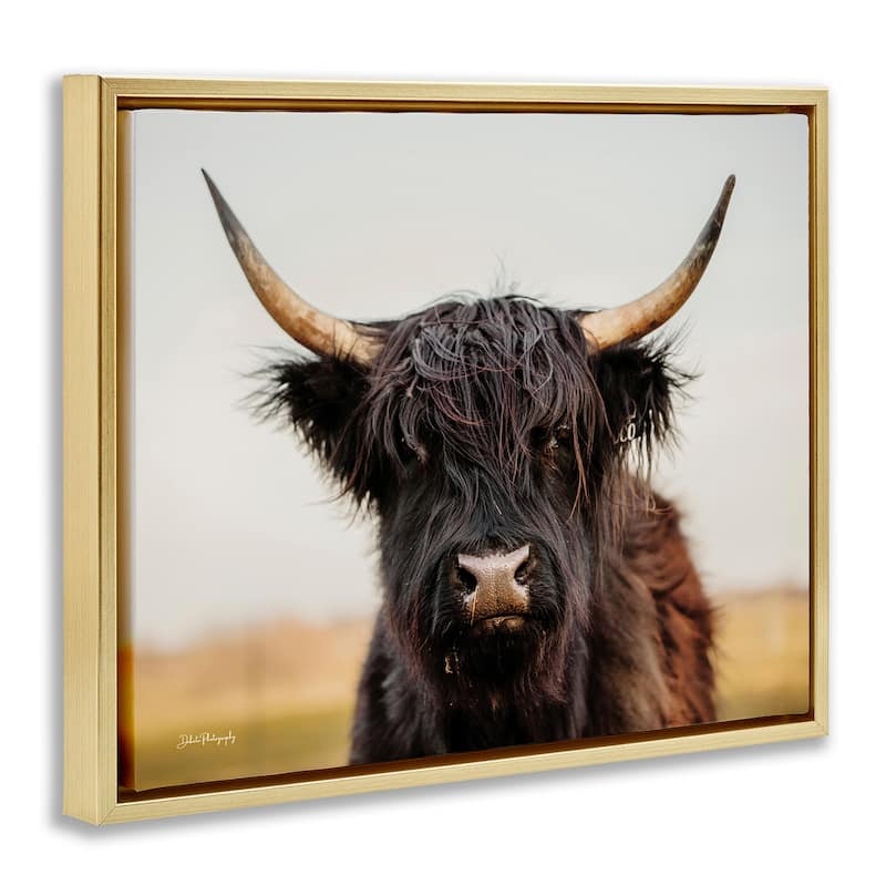 Stupell Black Highland Cow Portrait Framed Floater Canvas Wall Art Design by Dakota Diener