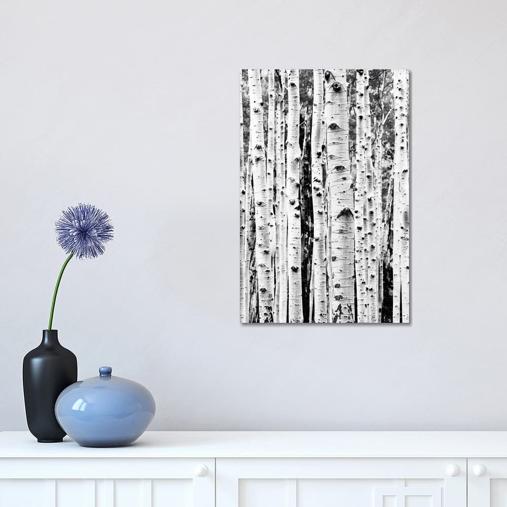 iCanvas "Birch In Black & White" by Sisi & Seb Canvas Print