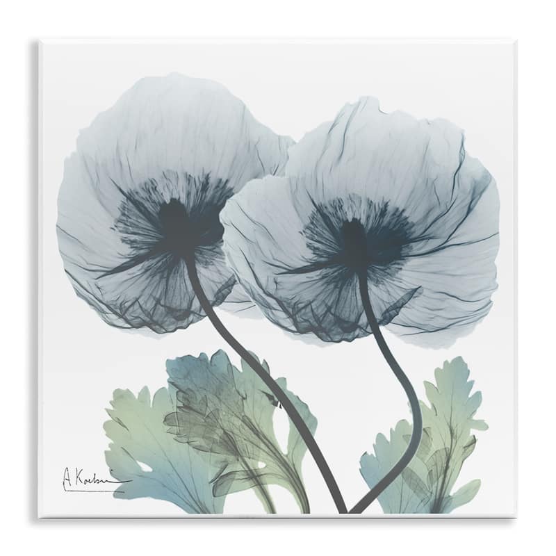 Stupell Double Modern Flower Blossoms Wall Plaque Art Design By Albert Koetsier - 12 x 12