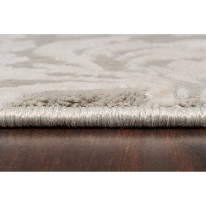 Dynamic Rugs Quartz Traditional Area Rug