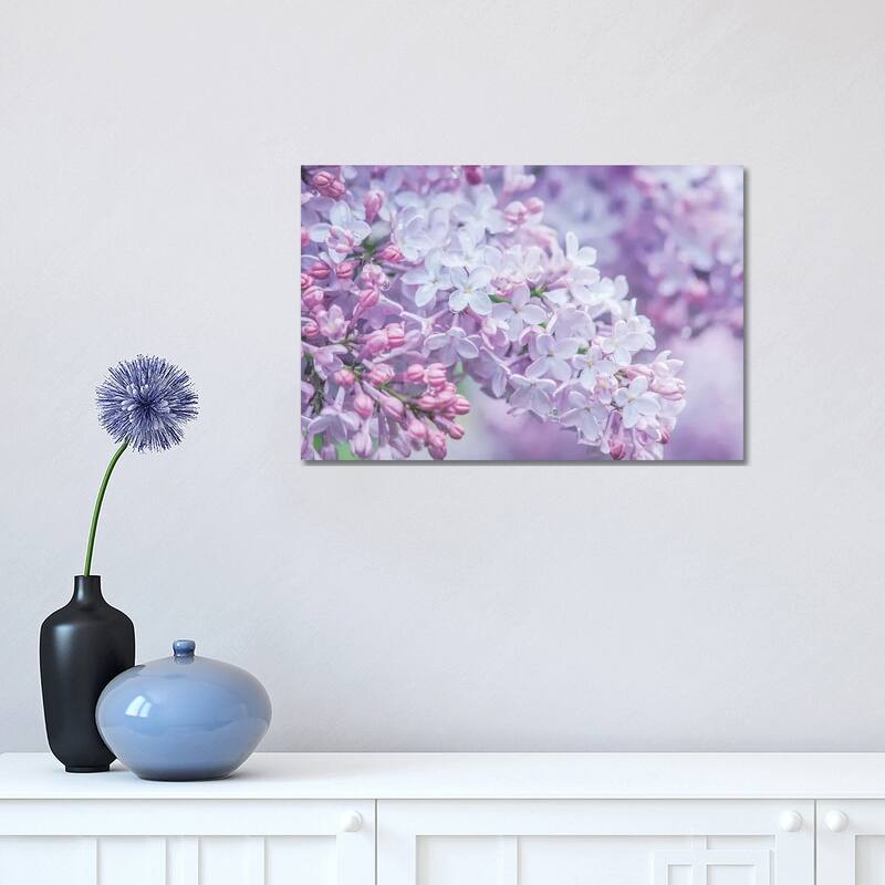 iCanvas "USA, Washington State, Seattle. Kubota Garden, lilac close-up." by Rob Tilley Canvas Print - 12x18x1.5
