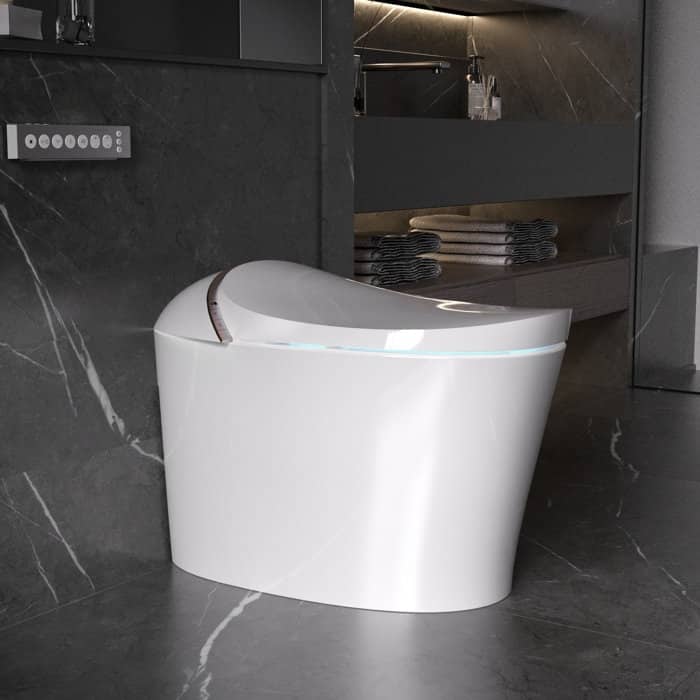 DeerValley Smart Toilet, One Piece Bidet Toilet for Bathrooms, Smart Bidet Toilet with Instant Warm Water, Auto Close - N/A