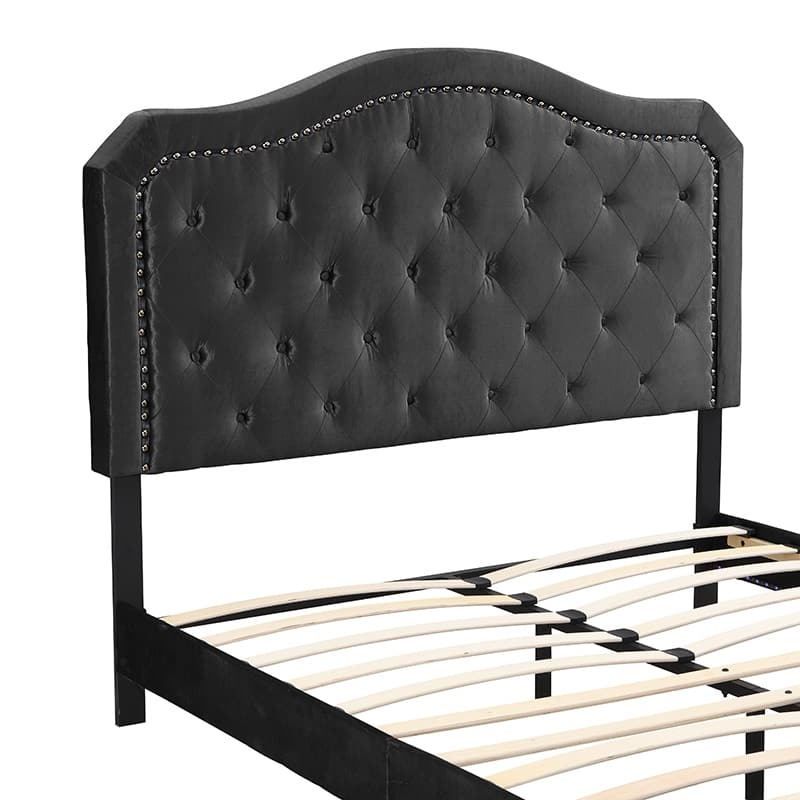 Queen Size Upholstered Platform Bed with LED Lights and Black Velvet