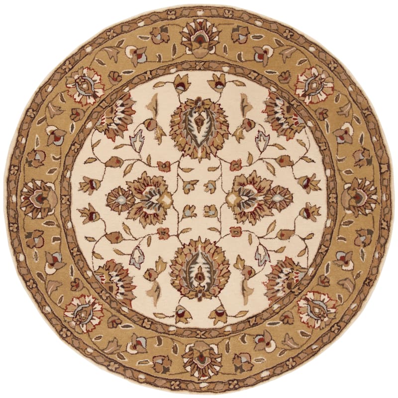 SAFAVIEH Handmade Total Performance Felisha Oriental Rug
