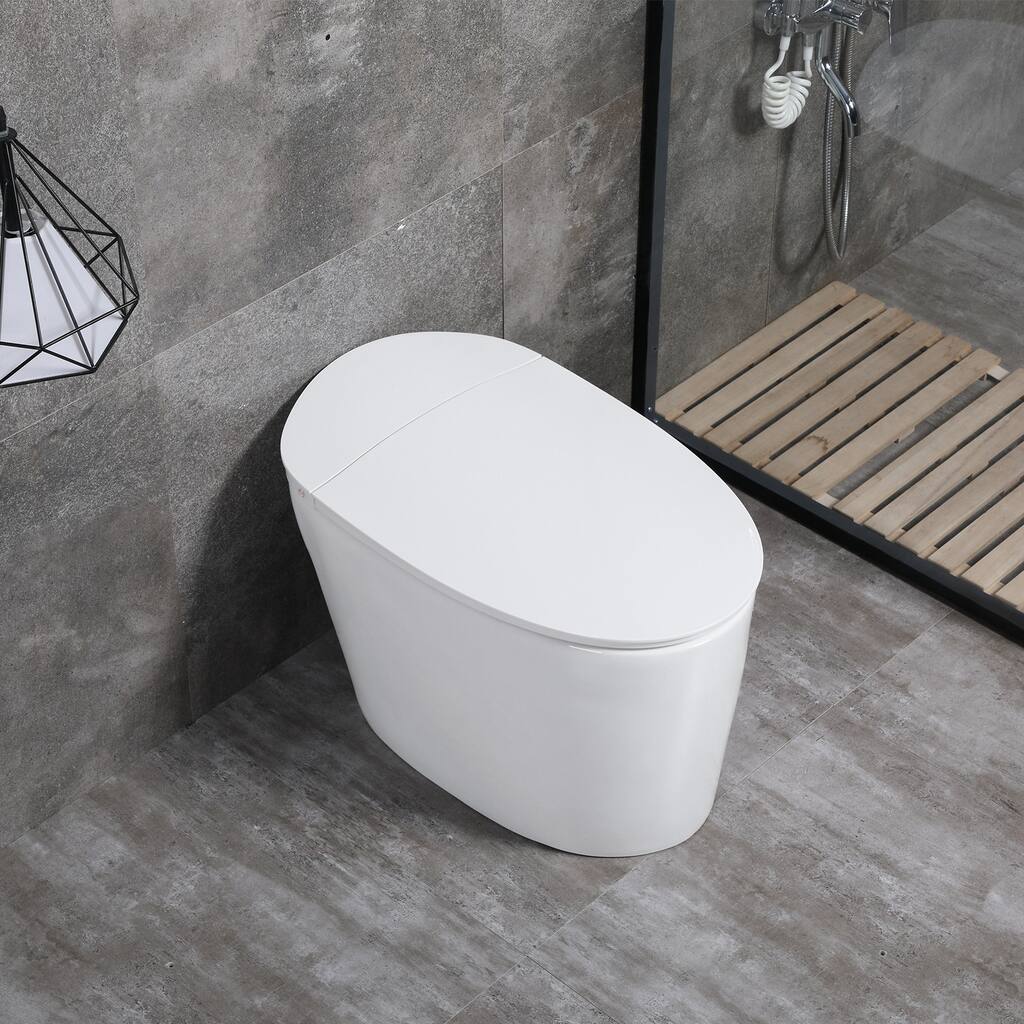 1.056 GPF (Water Efficient) Elongated Bidet Toilet (Seat Included) - 25.2x15x17.8in