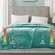 preview thumbnail 47 of 91, Beautyrest Heated Plush Secure Comfort Blanket