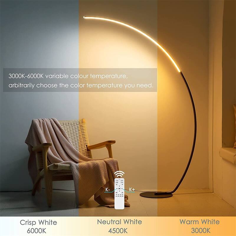 Modern Curve Floor Lamp with Remote Control