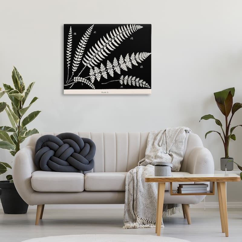 Stupell Fern Studies on Black Canvas Wall Art Design By Phillipa Katz