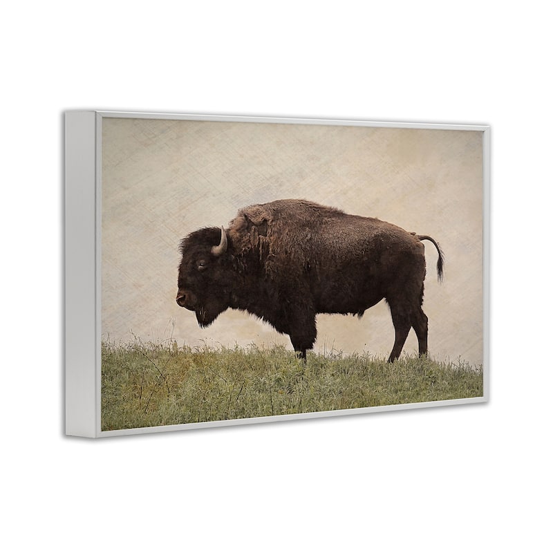 Stupell Serene Buffalo on Country Hill Framed Giclee Art Design By Steve Toole