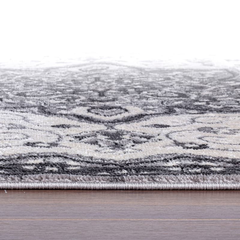 Traditional Medallion Area Rug