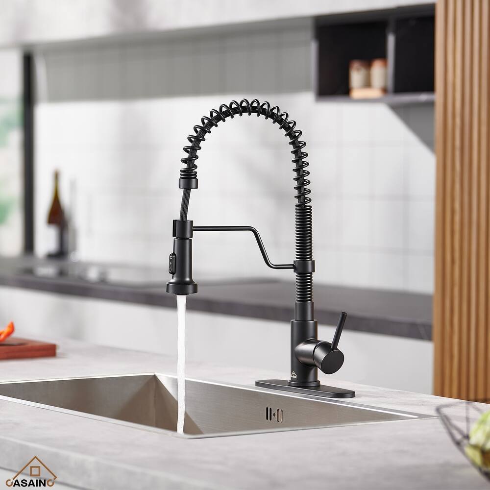 Single Handle Pull-Down Sprayer Kitchen Faucet