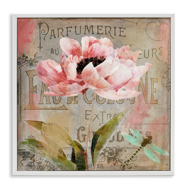 Stupell French Vintage Blossom Framed Giclee Art Design By Sasha - 12 x 12 - White