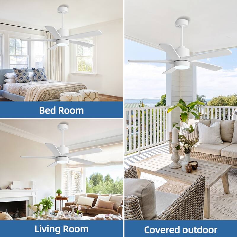 WINGBO 54" and 64" 5 ABS Blades DC Motor Indoor Ceiling Fan with Light & Remote