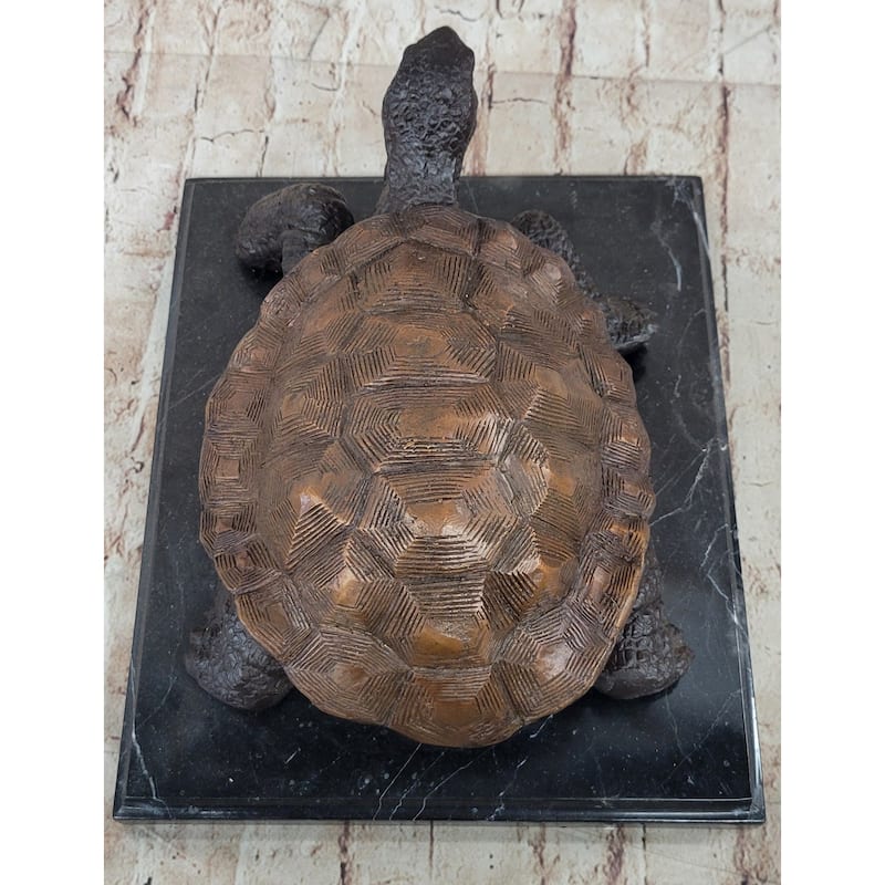 Limited Edition Bronze Tortoise Turtle Life Size Sculpture Statue Figure