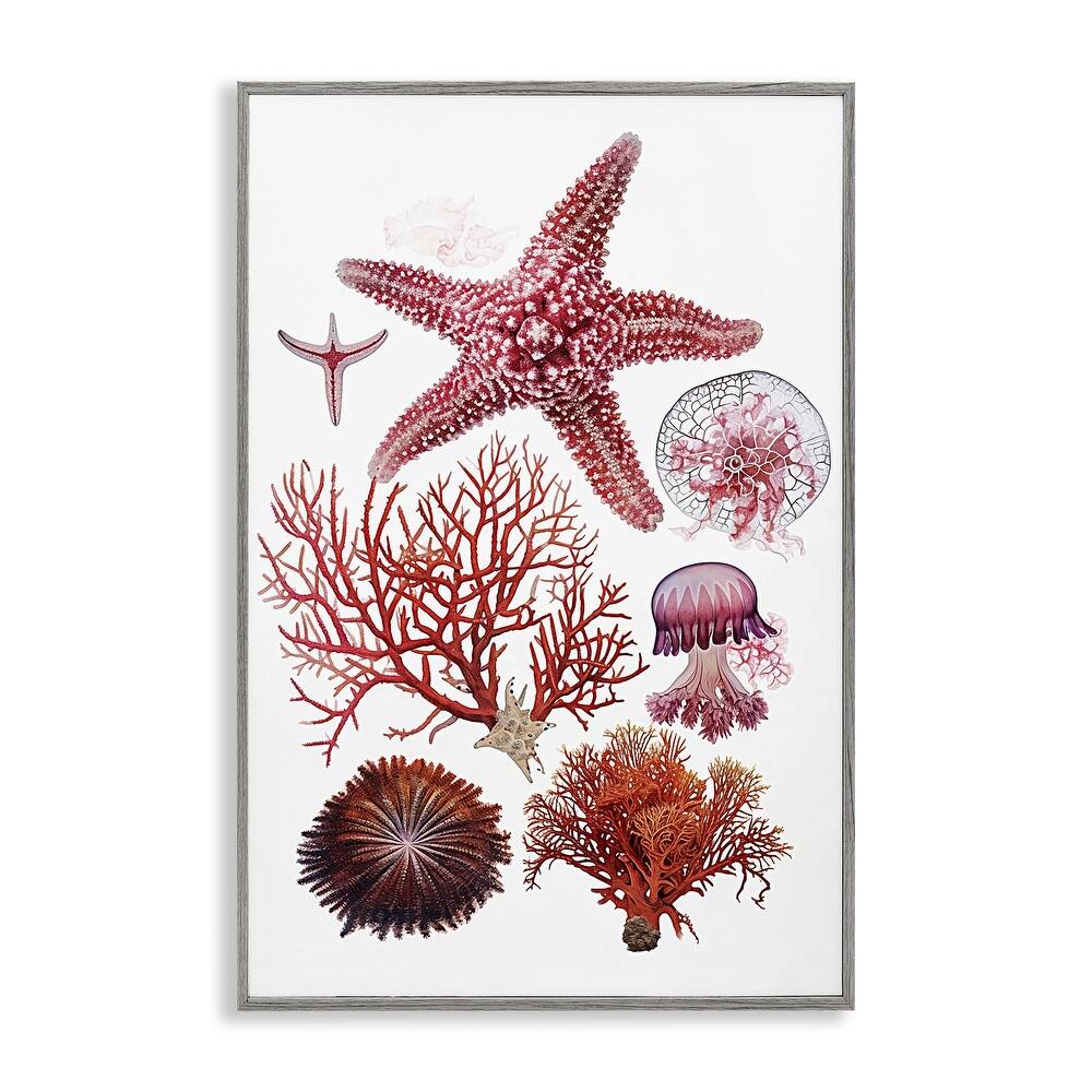 Stupell Rosy Undersea Creatures Framed Giclee Art Design By Ramona Murdock