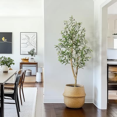 Olive Trees Artificial Indoor, 5ft Tall Faux Silk Plant with White Planter