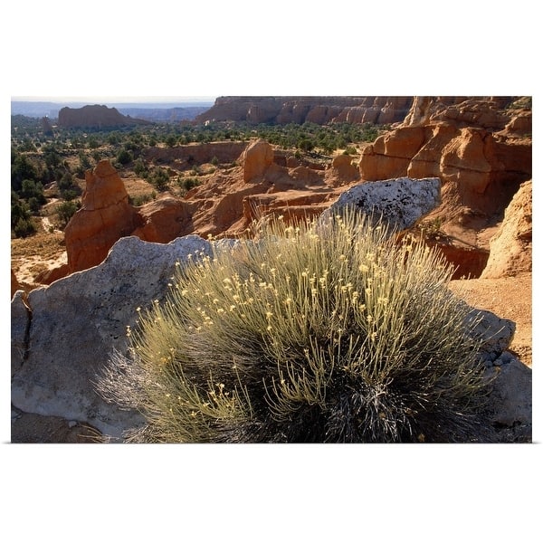 Shop Desert Landscape With Sandstone Formations Utah