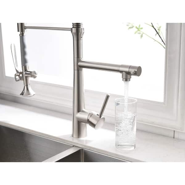 Pull Down Single Handle Kitchen Faucets Bed Bath & Beyond 34497183