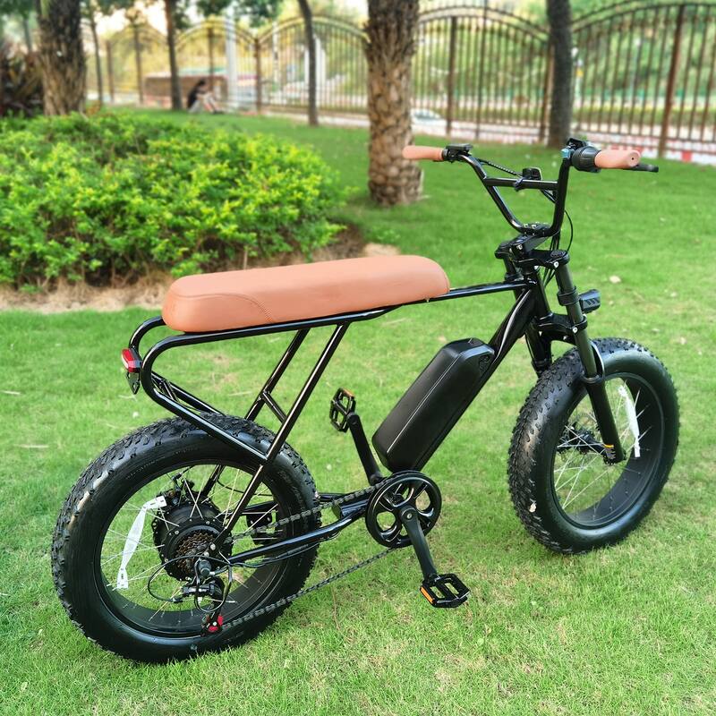 4" Wide Tires Shimano 6-Speed E-Bike with Removable Battery