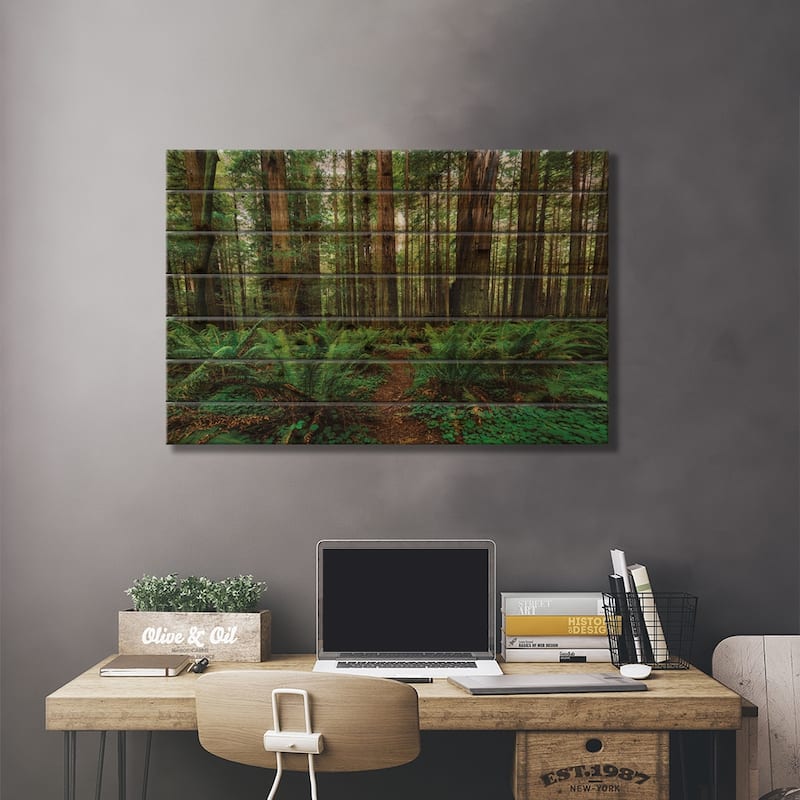 Avenue Of Giants And Giant Redwood Forest Along Route 101, California, USA Print On Wood by Panoramic Images - Multi-Color