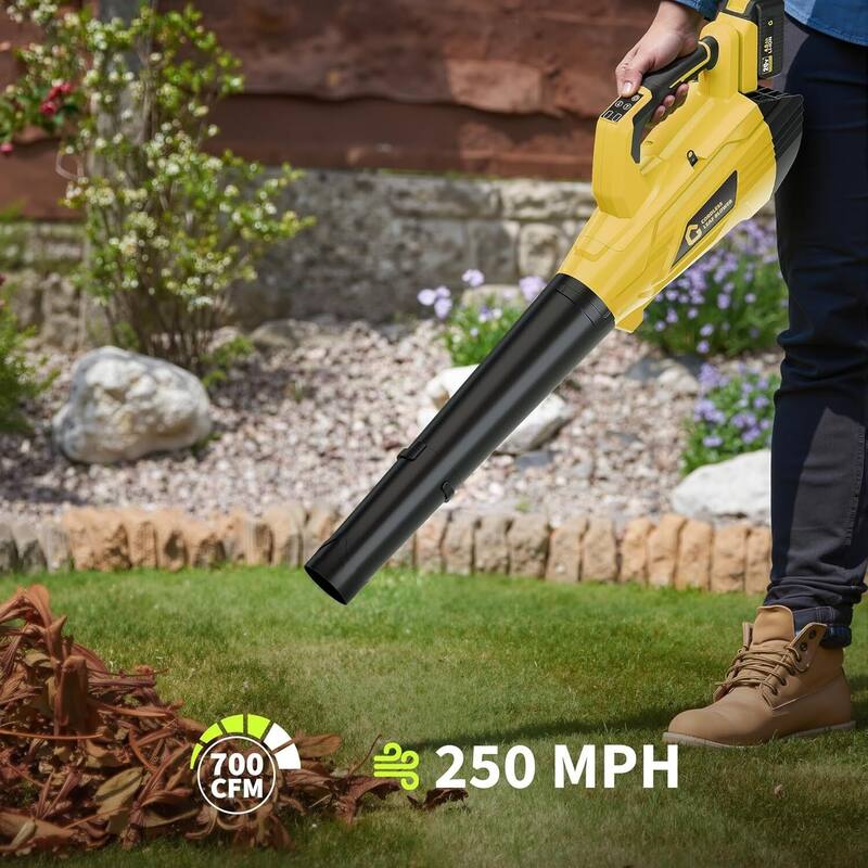 2 Speed 700CFM 250MPH Cordless 20V Electric Leaf Blower for Lawn Care, Blowing Leaves, Patio, Dust - N/A
