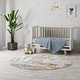 preview thumbnail 15 of 62, Nourison Astra Machine Washable Animal Print Area Rug
