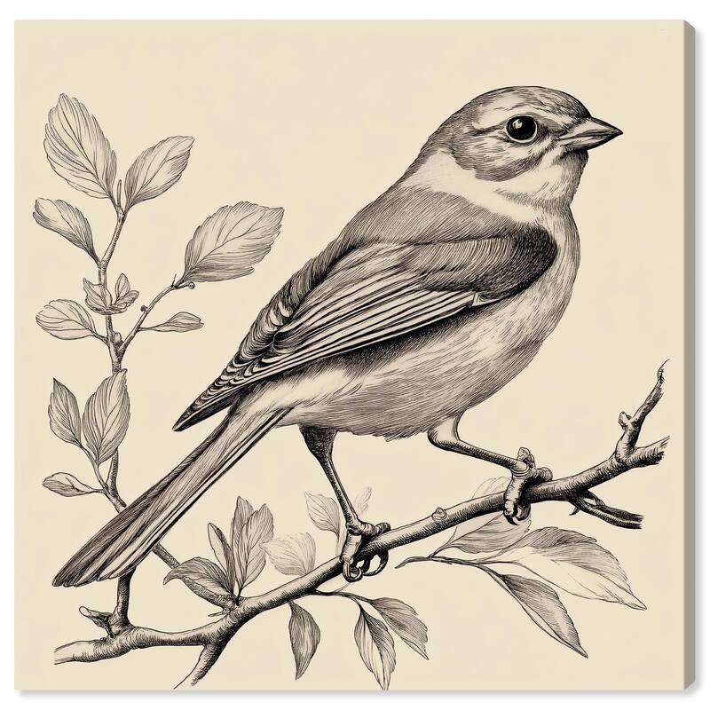 Bird's Gaze Canvas by Art Remedy, Gallery Wrapped - 40" x 40"