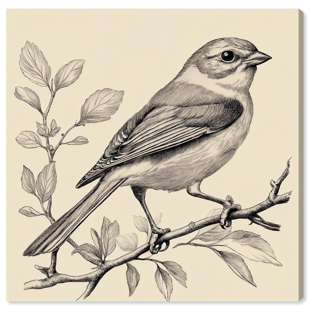 Bird's Gaze Canvas by Art Remedy, Gallery Wrapped