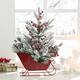Option Red Sleigh Frosted