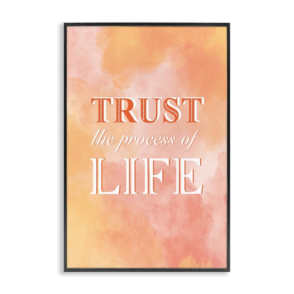 Stupell Trust The Process Of Life Framed Giclee Art Design By Martina Pavlova