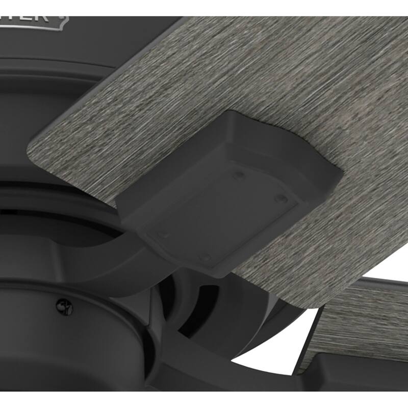 Hunter 44" Crystal Peak Ceiling Fan with LED Light Kit and Pull Chain, Casual, Transitional