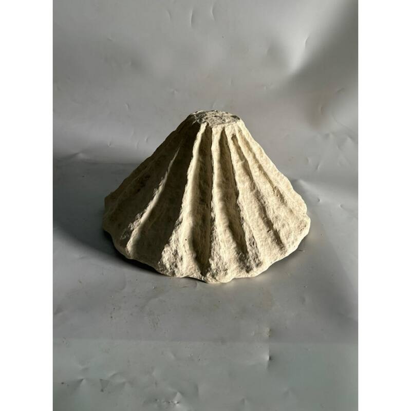 Paper Mache Shell Tabletop Decoration - 15" - Cream