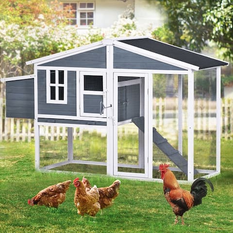 Zion 73.6 Large Wooden Chicken Coop with Tray, Ramp