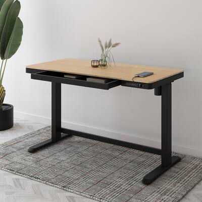 FlexiSpot 48 Inch Bamboo Texture Top COMHAR Home Office Desk Height Adjustable Standing Computer Desk USB Charging