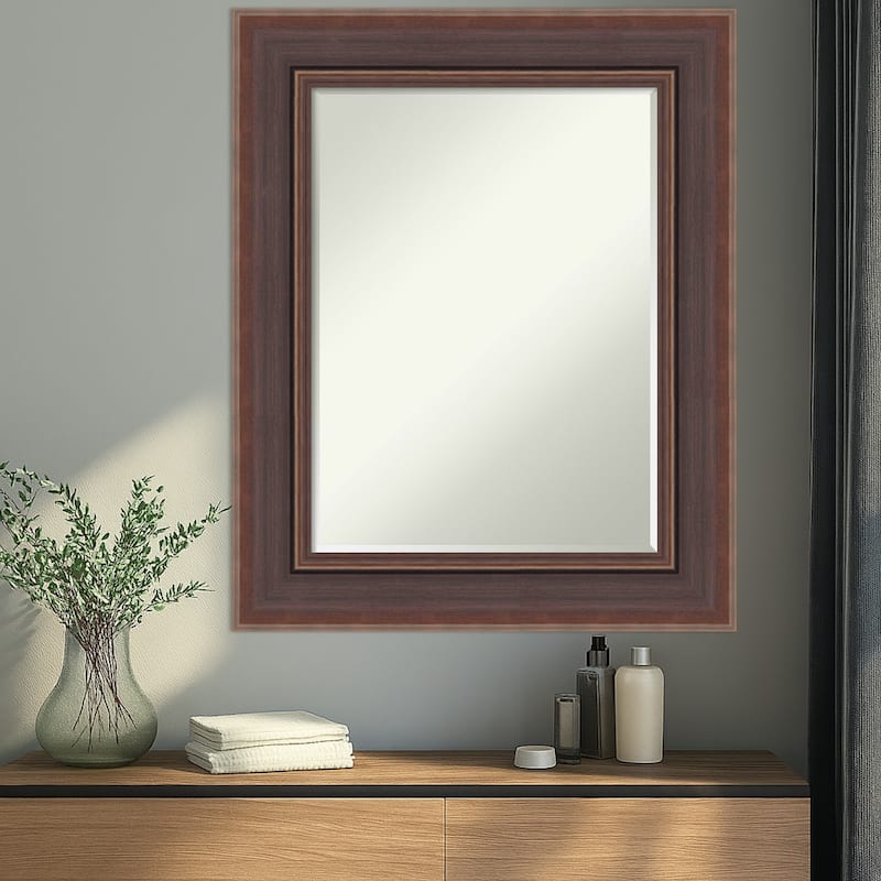 Moab Half-Inch-Bevel Framed Wall Mirror - Moab Brown Bronze - 26 x 32 in