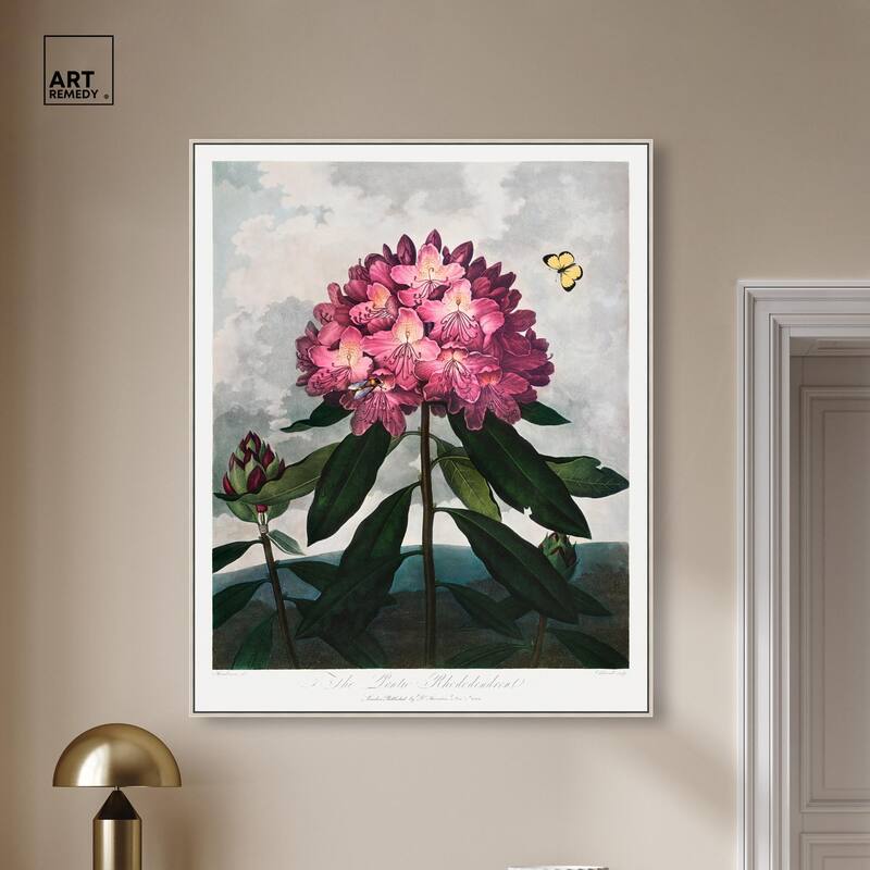 Pontic Rhododendron 1807 Canvas by Art Remedy
